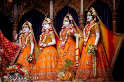 Daily Darshan