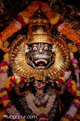 Daily Darshan