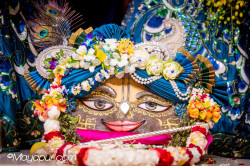 Daily Darshan