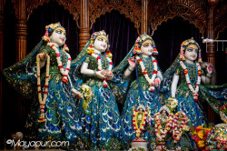 Daily Darshan
