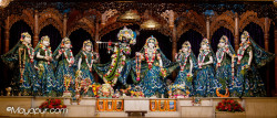 Daily Darshan