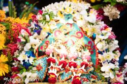 Daily Darshan