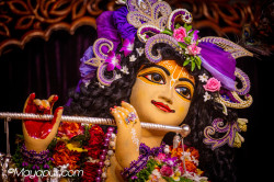 Daily Darshan