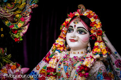 Daily Darshan