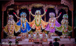 Daily Darshan