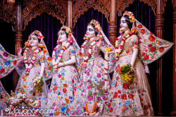 Daily Darshan