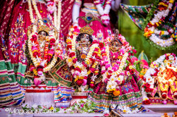 Daily Darshan