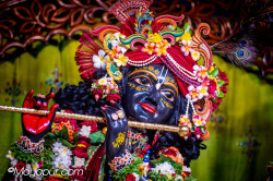 Daily Darshan