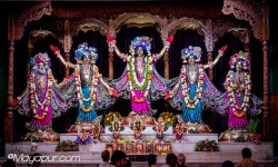 Daily Darshan
