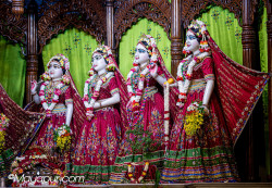 Daily Darshan
