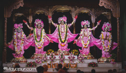 Daily Darshan