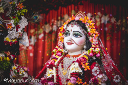 Daily Darshan