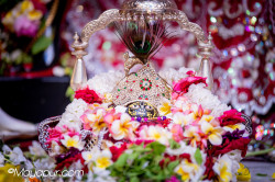 Daily Darshan