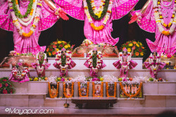 Daily Darshan
