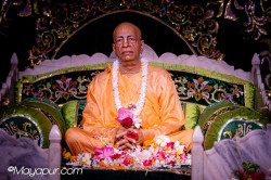 Daily Darshan