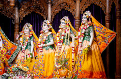 Daily Darshan