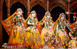 Daily Darshan