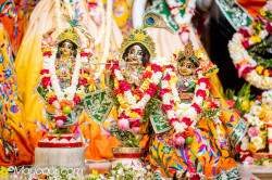 Daily Darshan