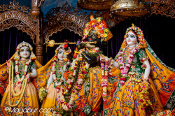 Daily Darshan