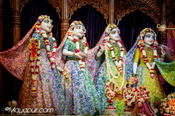 Daily Darshan