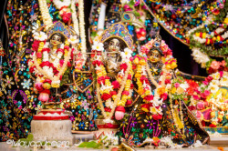 Daily Darshan