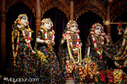 Daily Darshan