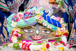 Daily Darshan