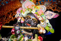 Daily Darshan