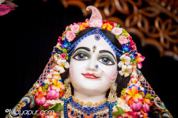 Daily Darshan