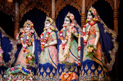 Daily Darshan