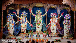 Daily Darshan