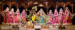 Daily Darshan