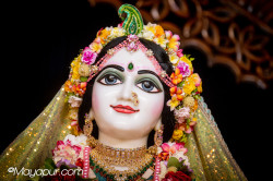Daily Darshan