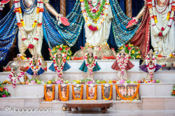 Daily Darshan