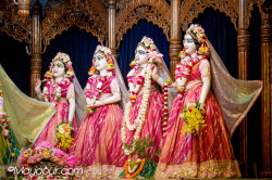 Daily Darshan