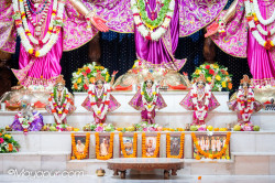 Daily Darshan