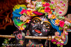 Daily Darshan