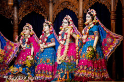 Daily Darshan