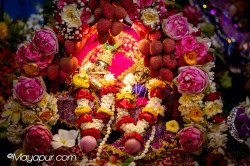 Daily Darshan