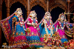 Daily Darshan