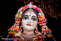 Daily Darshan