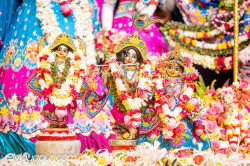 Daily Darshan