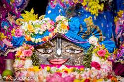 Daily Darshan