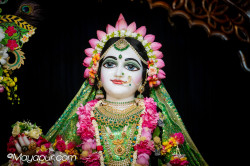 Daily Darshan