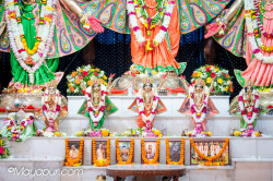 Daily Darshan