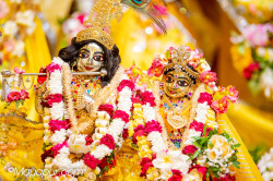 Daily Darshan