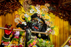 Daily Darshan