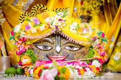Daily Darshan