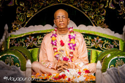 Daily Darshan