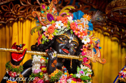 Daily Darshan